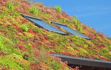 Littleborough living roof systems